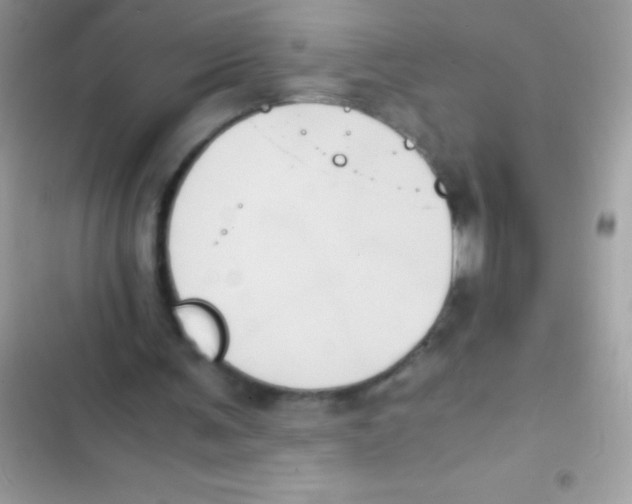 X0000103140291200809192011