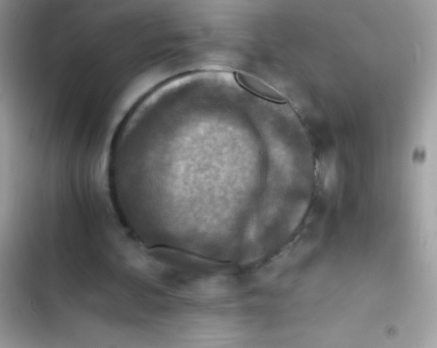 X0000103140292200809192011