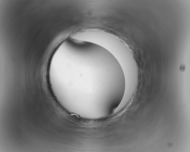 X0000103140293200809192011