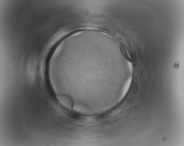 X0000103140295200809192011