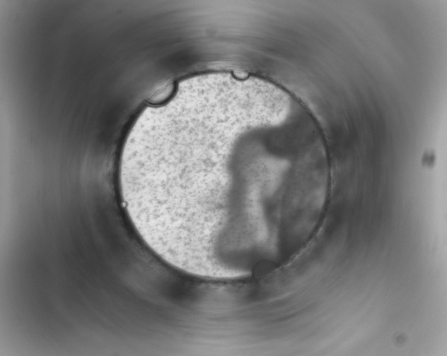 X0000103140297200809192011