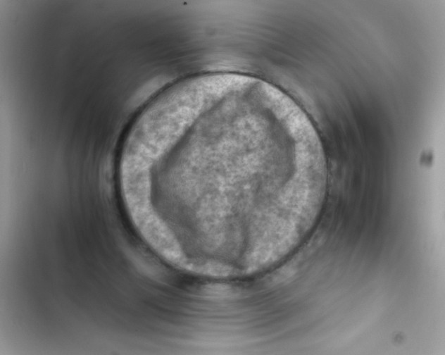 X0000103140298200809192011