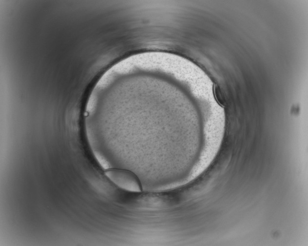 X0000103140299200809192011