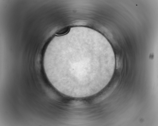 X0000103140300200809192011