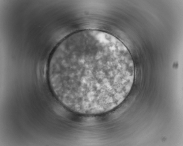 X0000103140301200809192011