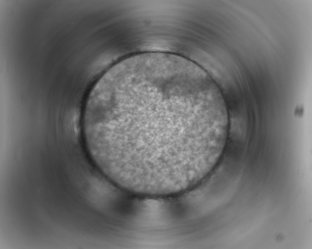 X0000103140302200809192011