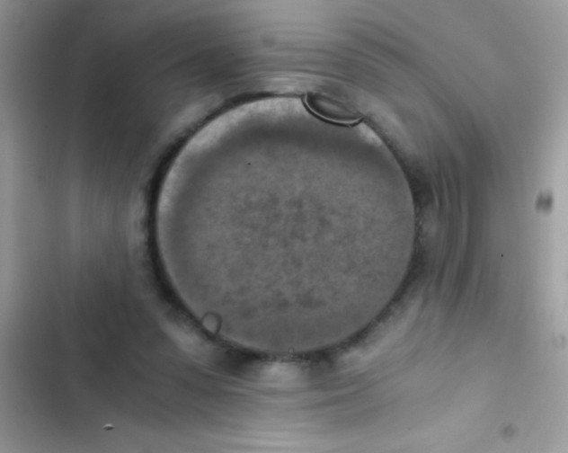 X0000103140303200809192011