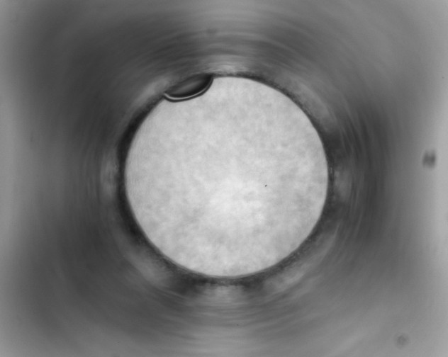 X0000103140304200809192011