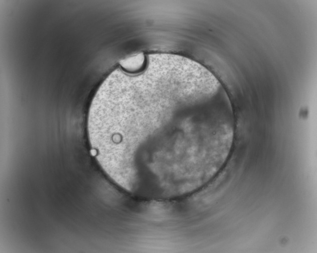 X0000103140305200809192011