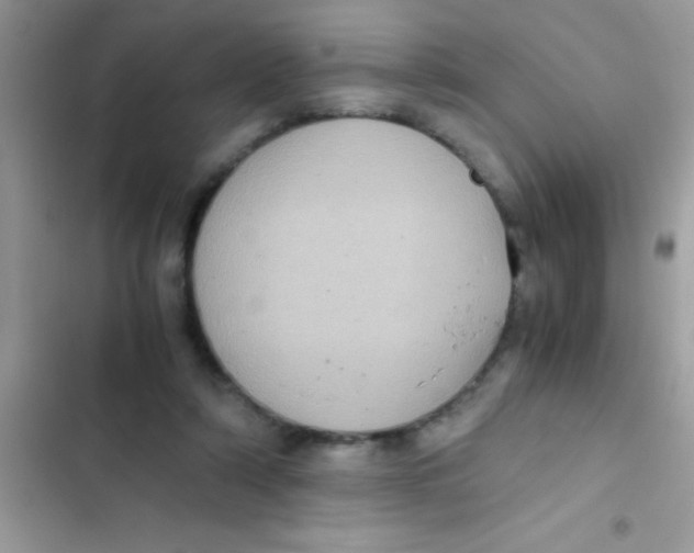 X0000103140306200809192011