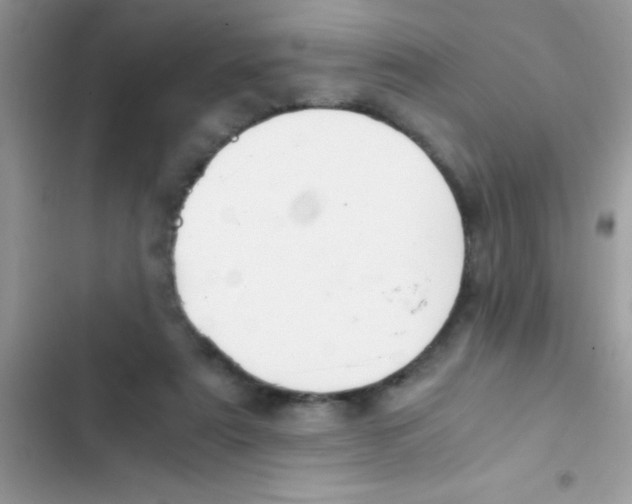 X0000103140307200809192011