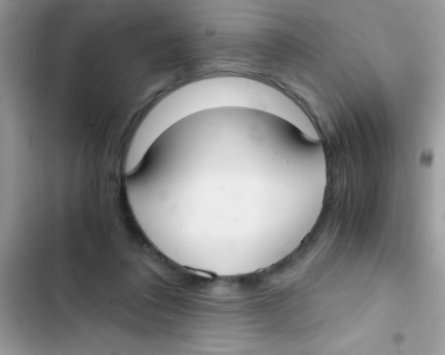 X0000103140308200809192011