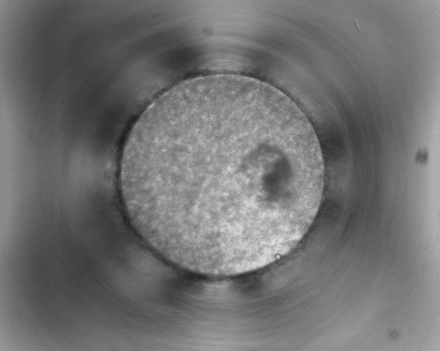 X0000103140309200809192011