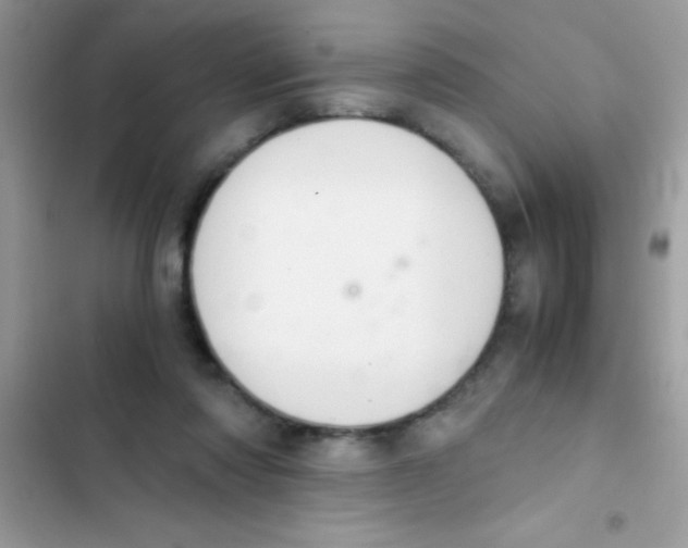 X0000103140310200809192011