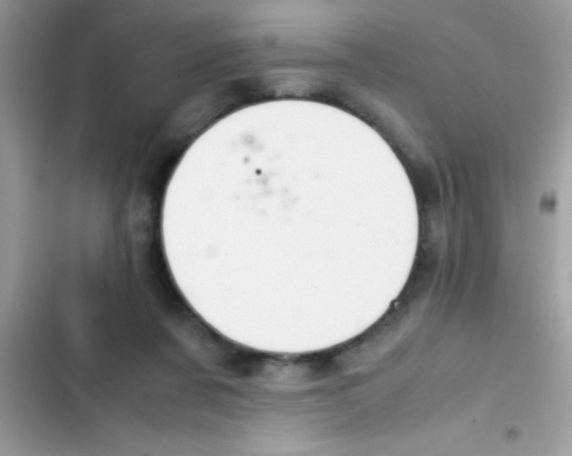 X0000103140311200809192011