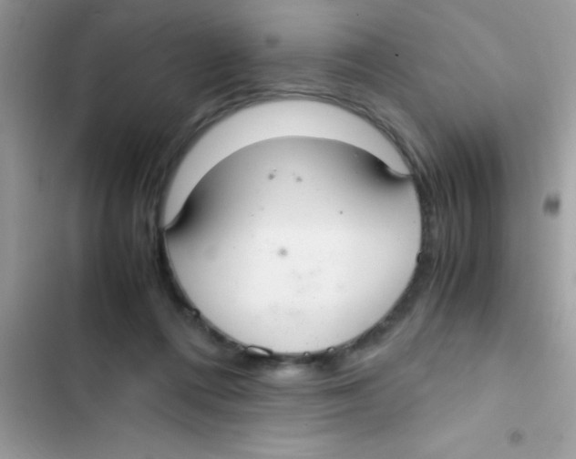 X0000103140312200809192011