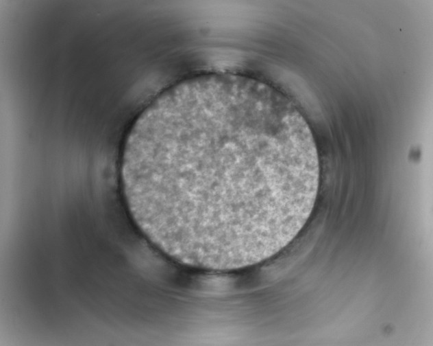 X0000103140313200809192011