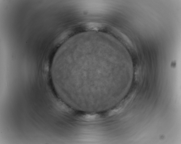 X0000103140314200809192011