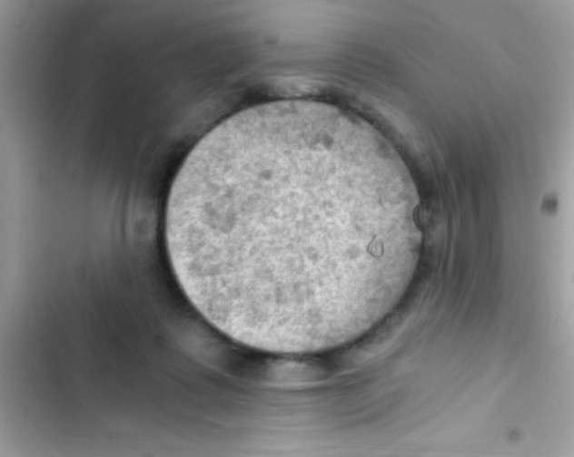 X0000103140315200809192011