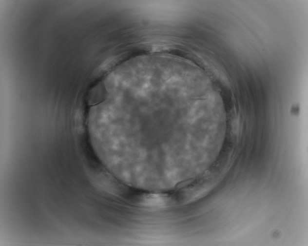 X0000103140316200809192011