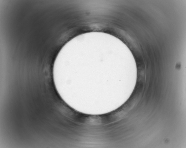 X0000103140317200809192011