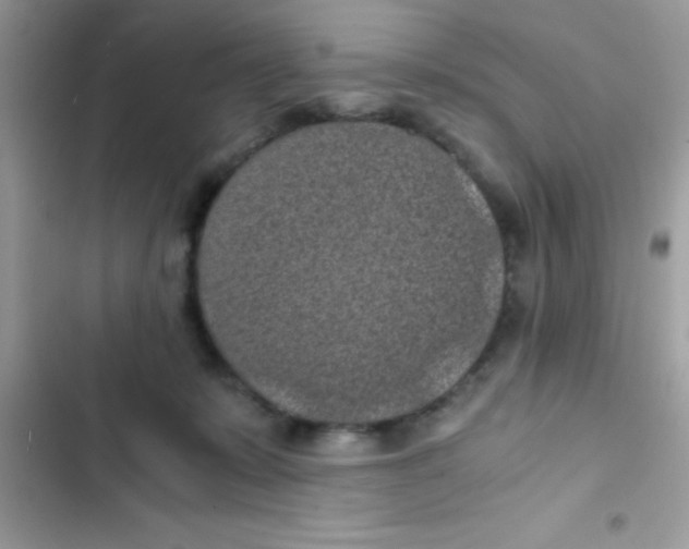 X0000103140319200809192011