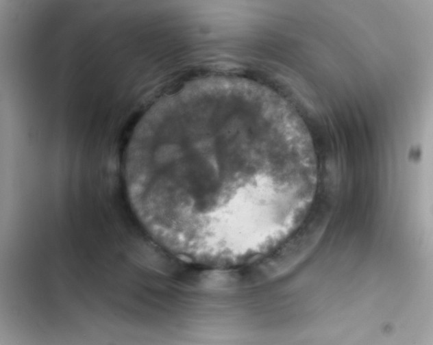 X0000103140320200809192011