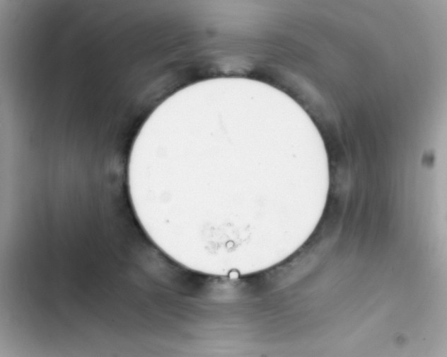 X0000103140321200809192011