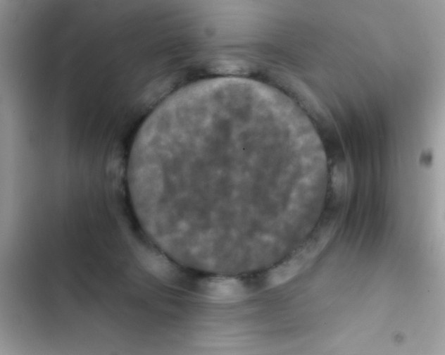 X0000103140322200809192011