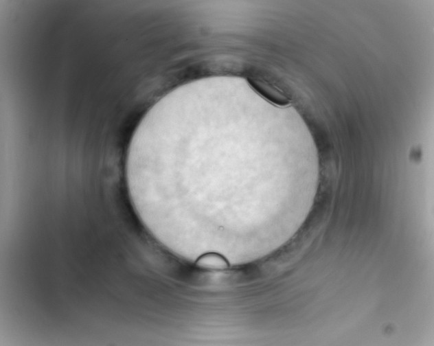 X0000103140323200809192011