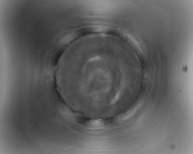 X0000103140325200809192011