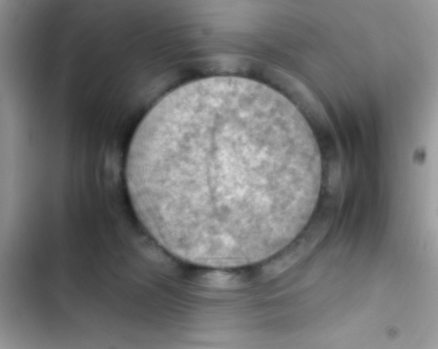 X0000103140326200809192011
