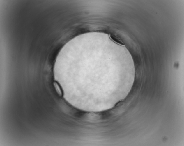 X0000103140327200809192011