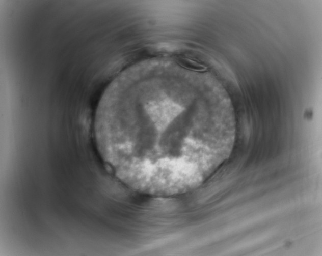 X0000103140328200809192011