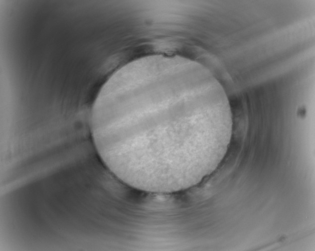 X0000103140329200809192011