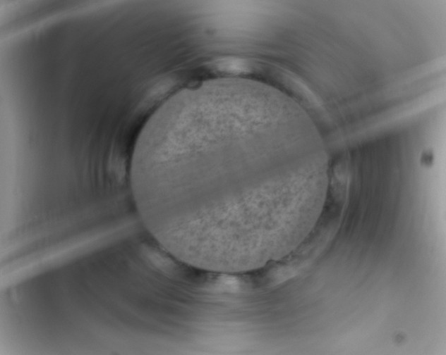 X0000103140330200809192011