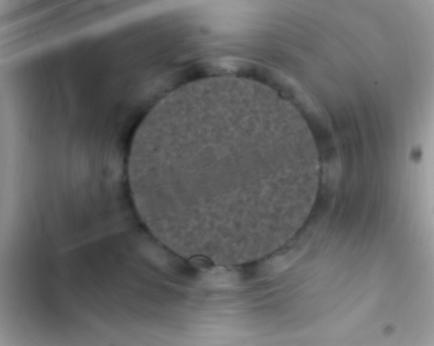 X0000103140331200809192011