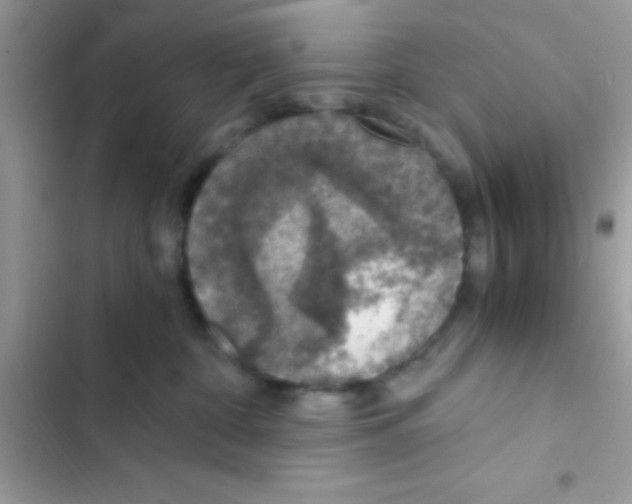 X0000103140332200809192011