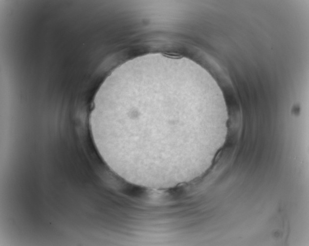 X0000103140333200809192011