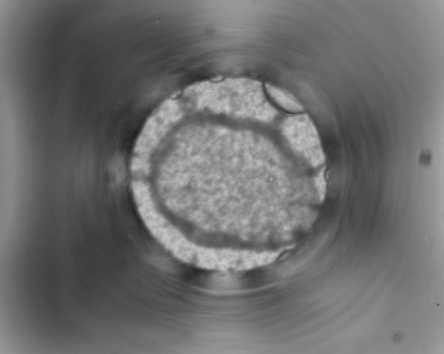 X0000103140335200809192011