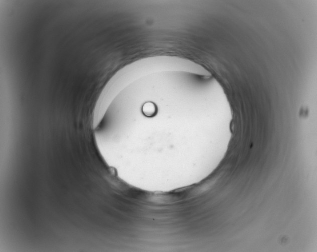 X0000103140336200809192011