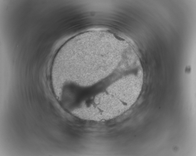 X0000103140337200809192010