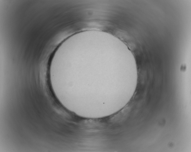 X0000103140338200809192010