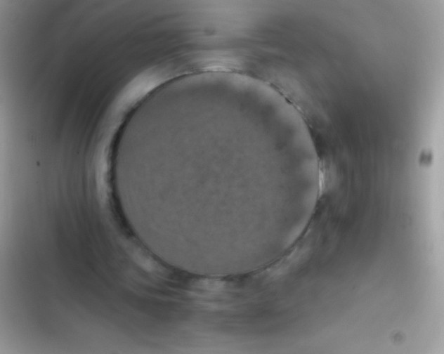 X0000103140339200809192010