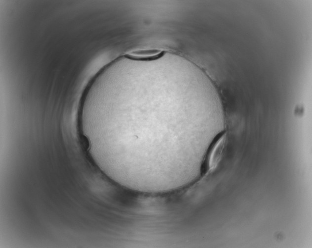 X0000103140340200809192010