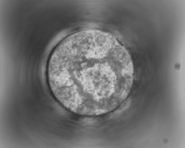 X0000103140341200809192010