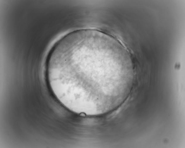 X0000103140342200809192010