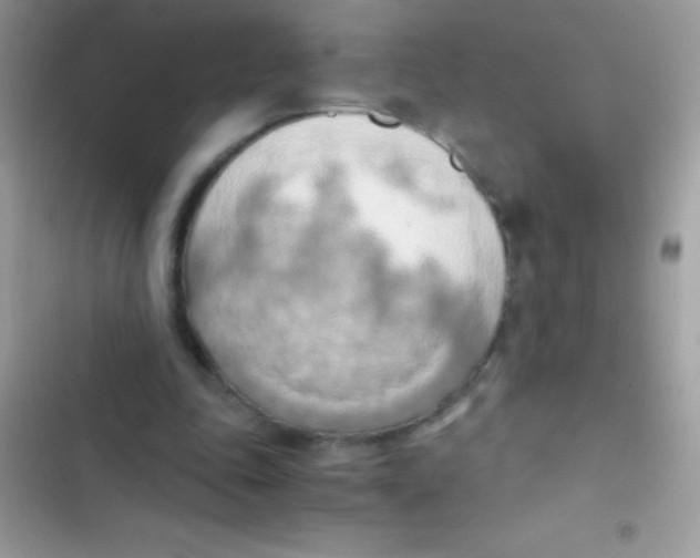 X0000103140343200809192010