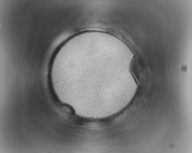 X0000103140344200809192010