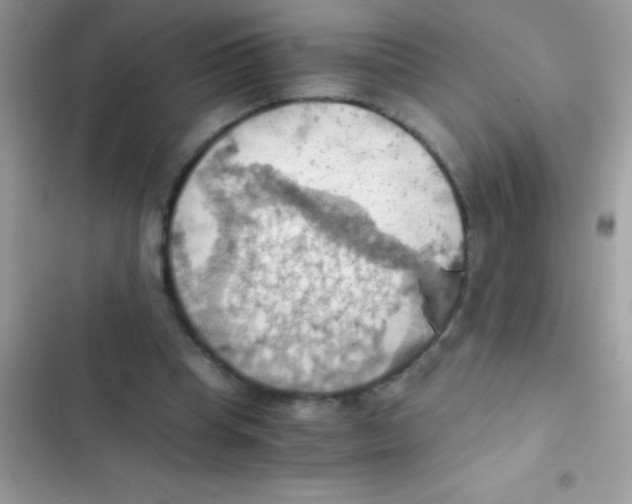 X0000103140345200809192010